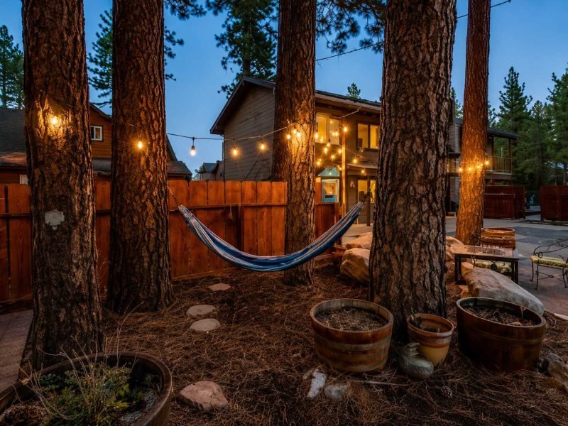 Hammock hanging between tall pine trees beneath glowing string lights in the Alder Inn courtyard at dusk